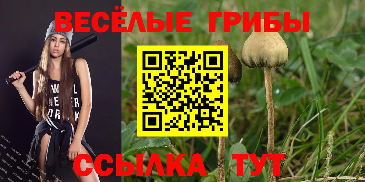 Псилоцибиновые грибы ЛСД  Галлюциногенные грибы мицелий  Муравленко  где продают наркотики  Вход с VPN 