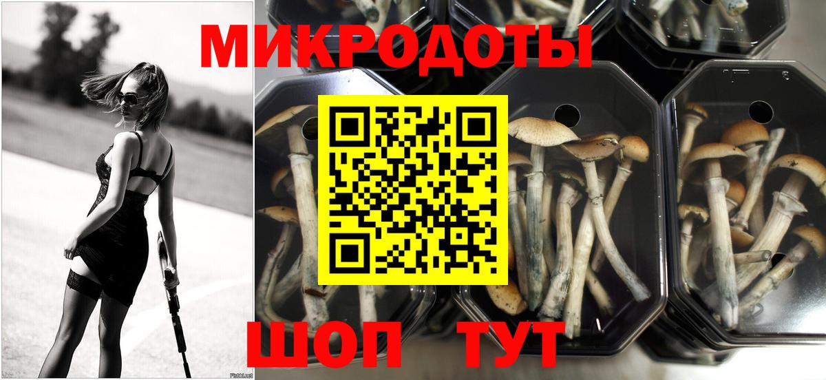 Галлюциногенные грибы Psilocybine cubensis Муравленко